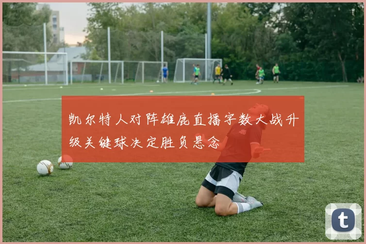 凯尔特人对阵雄鹿直播字数大战升级关键球决定胜负悬念