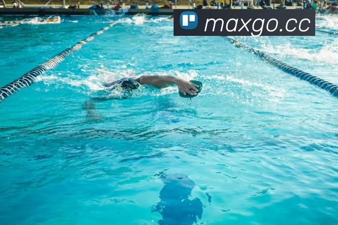 App Interface Preview